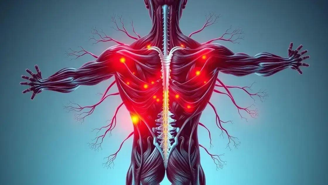 1. O que Causa as Dores Pós-Treino?
2. Dicas para Diminuir as Dores Musculares
3. A Importância do Aquecimento e Alongamento
4. Quando Procurar Ajuda Profissional